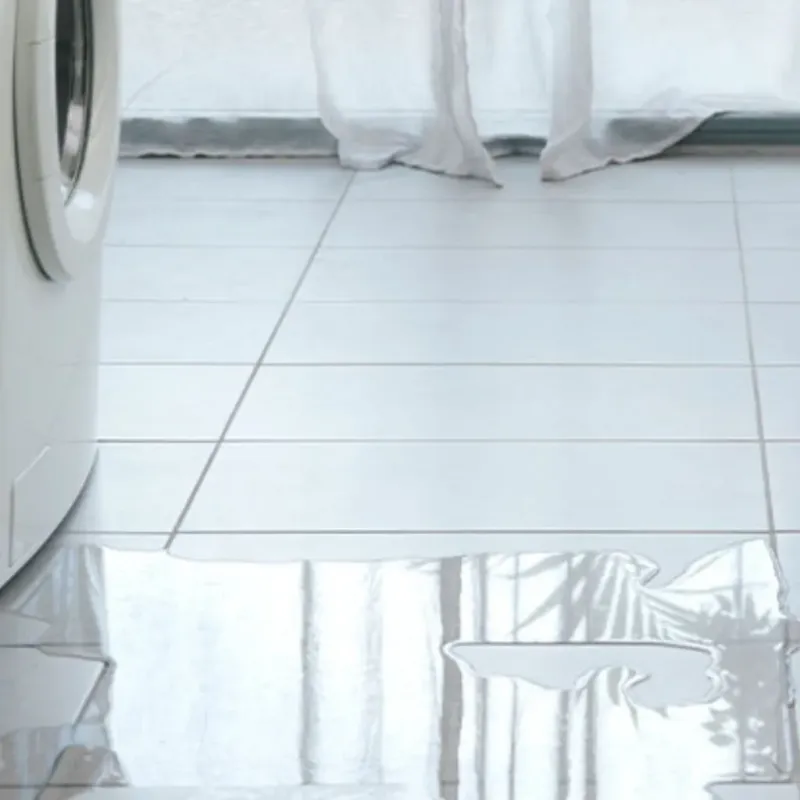Appliance Leak Cleanup in Harrison, MI
