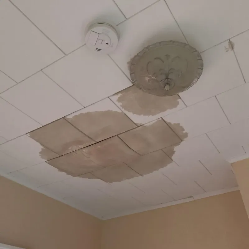 Ceiling Water Damage Repair in Harrison, MI