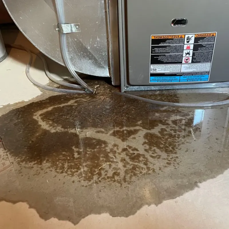 Pipe Burst and Leak Restoration in Harrison, MI
